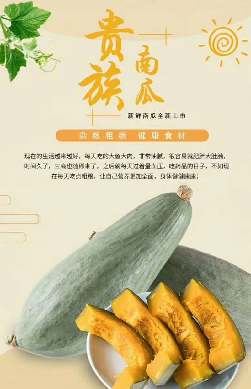 新疆阿克苏沙漠边缘丑瓜