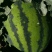 水果