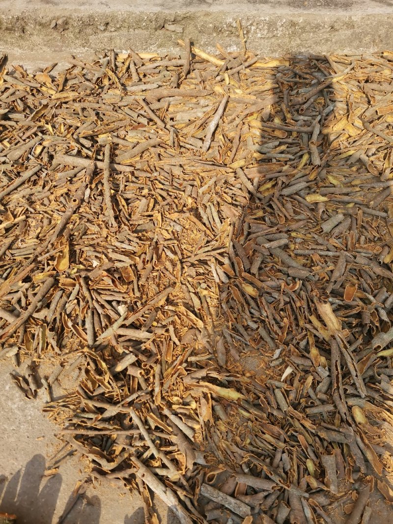 桂皮碎，桂皮