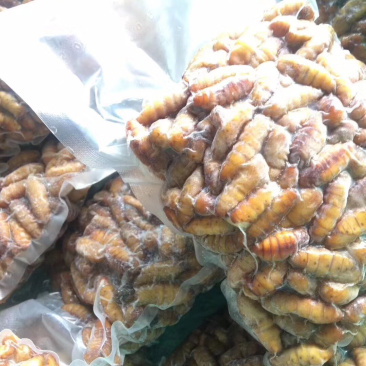 蚕蛹350g………………