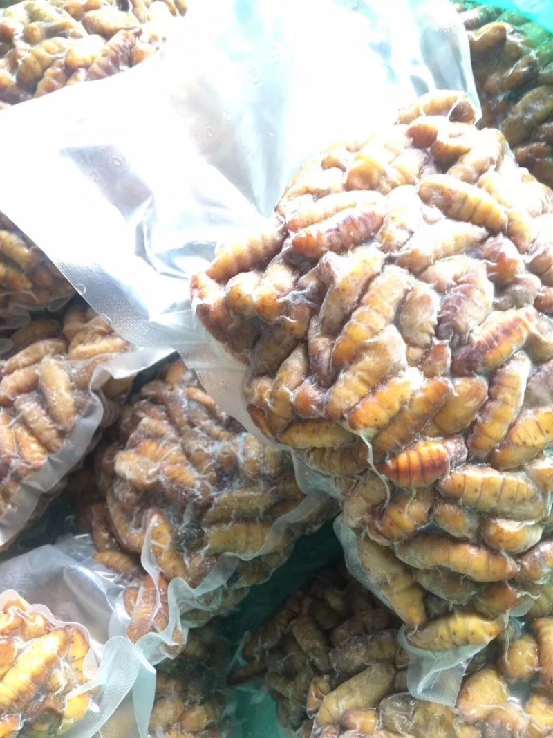 蚕蛹350g………………