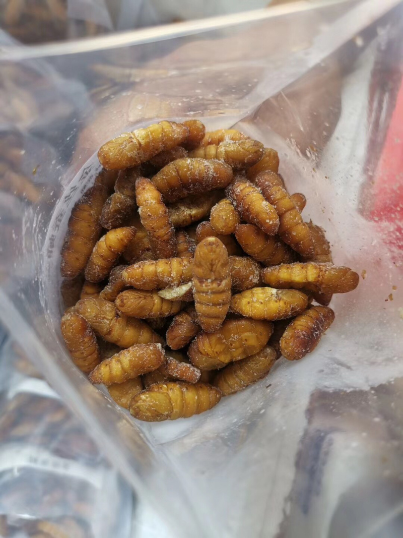 蚕蛹350g………………