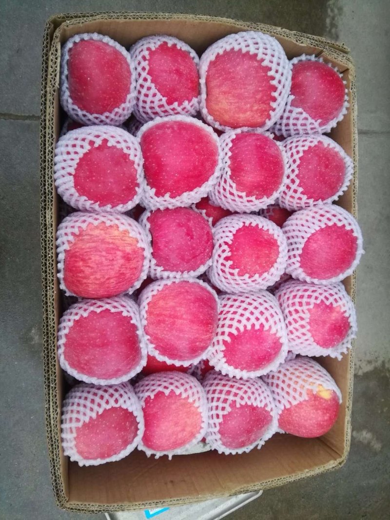 产自黄土高原优生区纸袋红富士苹果