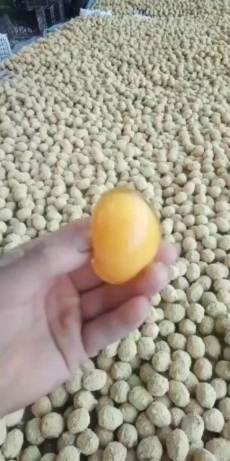 河南变蛋速成鸡皮蛋双黄变蛋
