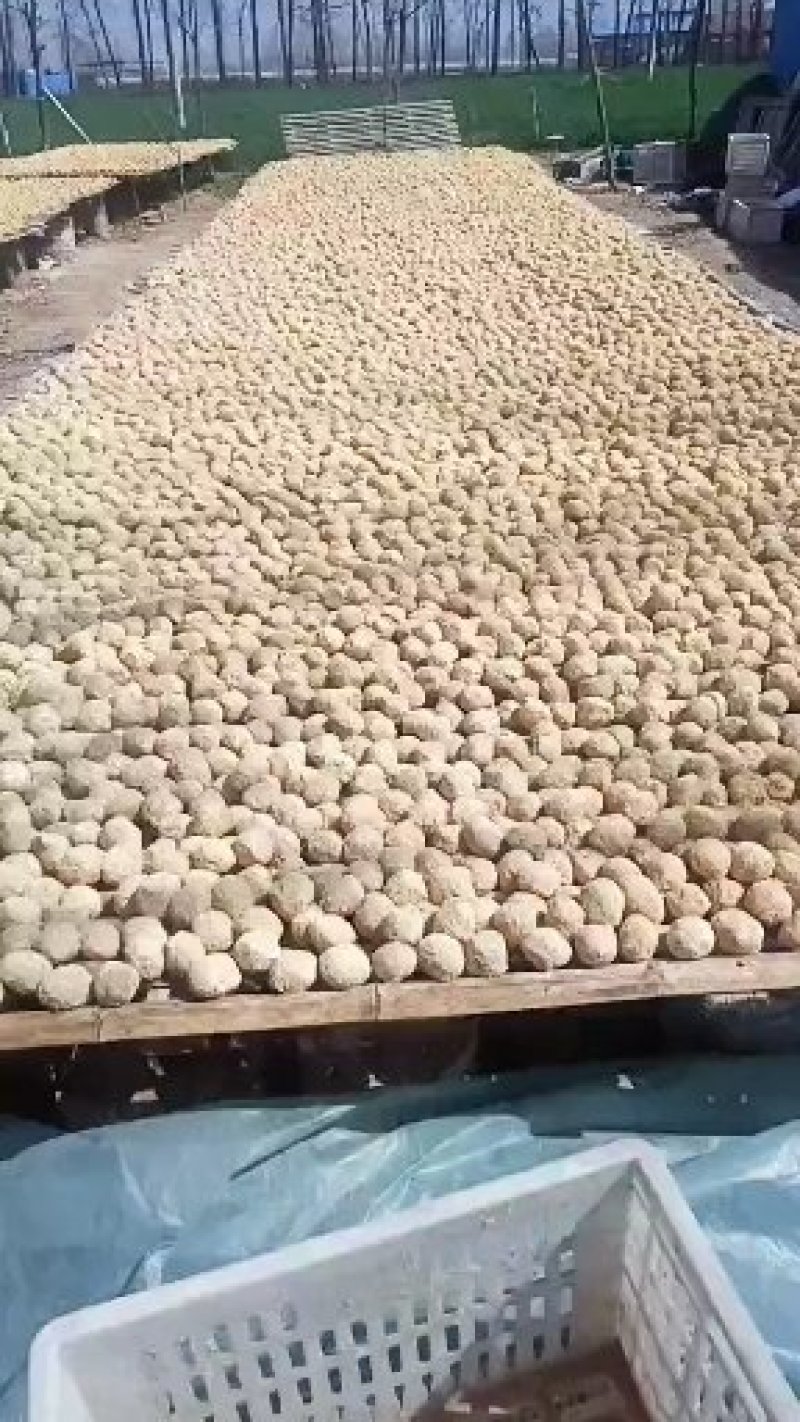 河南变蛋速成鸡皮蛋双黄变蛋