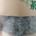 莓茶