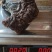 野生灵芝