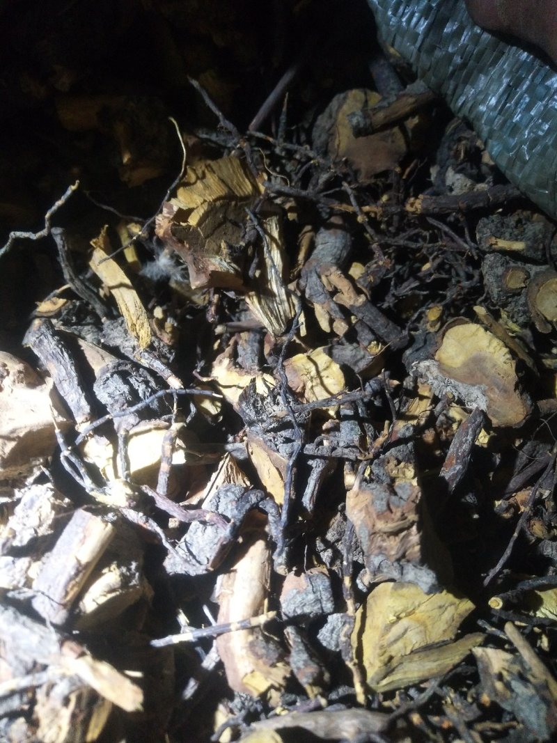广东本地小叶睇牛仔根，有老板需要的联系我，一手货源