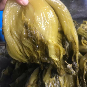 大量酸菜批发，需要的联系