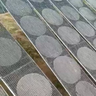 粉皮批发