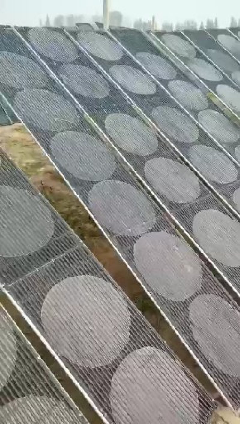 粉皮批发