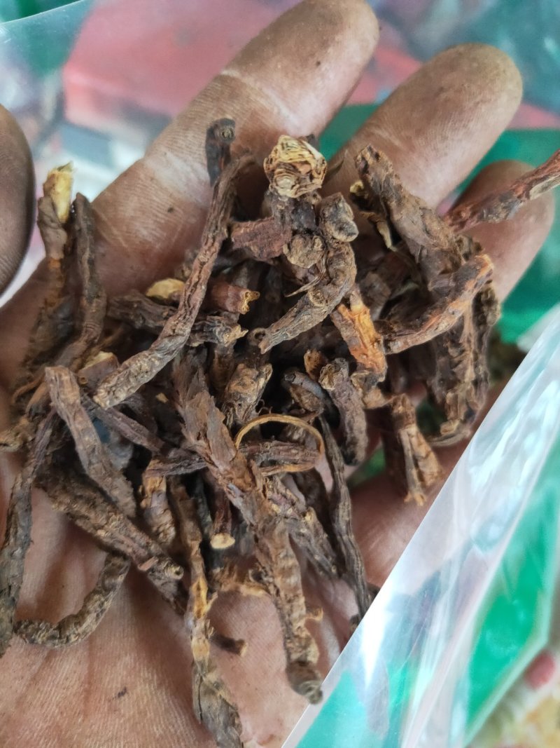 大统装胡黄连货好量大不满意可以退换货