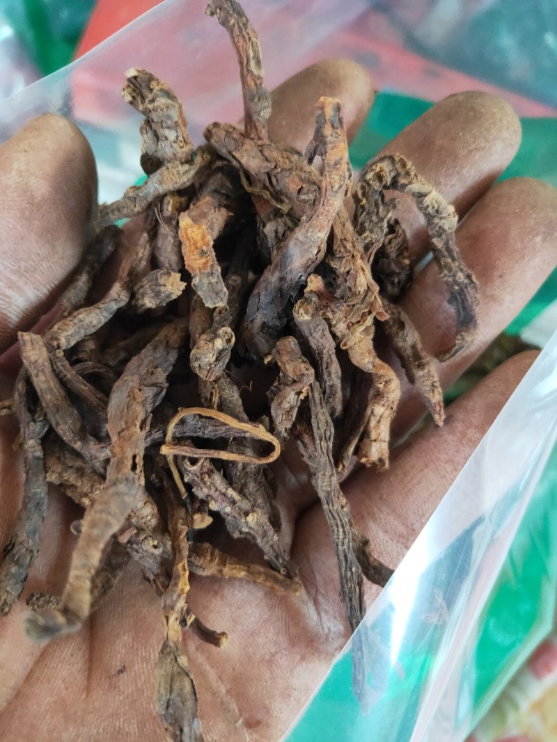 大统装胡黄连货好量大不满意可以退换货