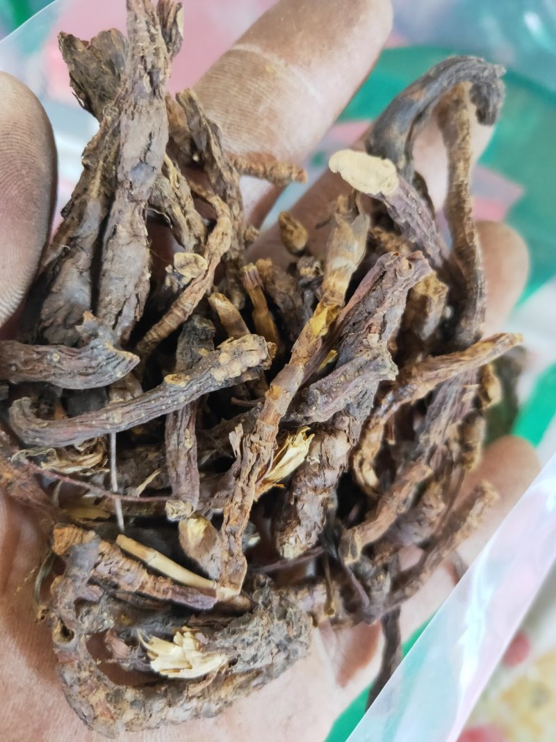 大统装胡黄连货好量大不满意可以退换货