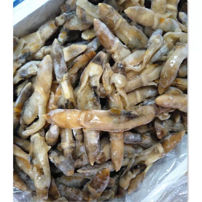 新鲜竹节蛏王肉冷冻蛏子肉现剥去沙大蛏肉海鲜零食水产火锅烧