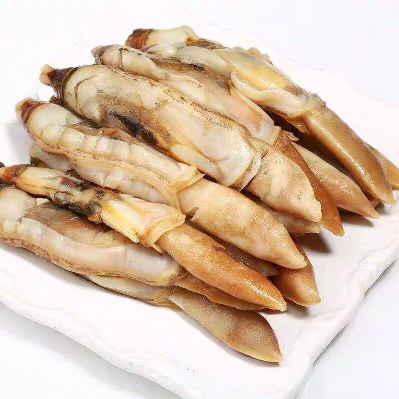 新鲜竹节蛏王肉冷冻蛏子肉现剥去沙大蛏肉海鲜零食水产火锅烧