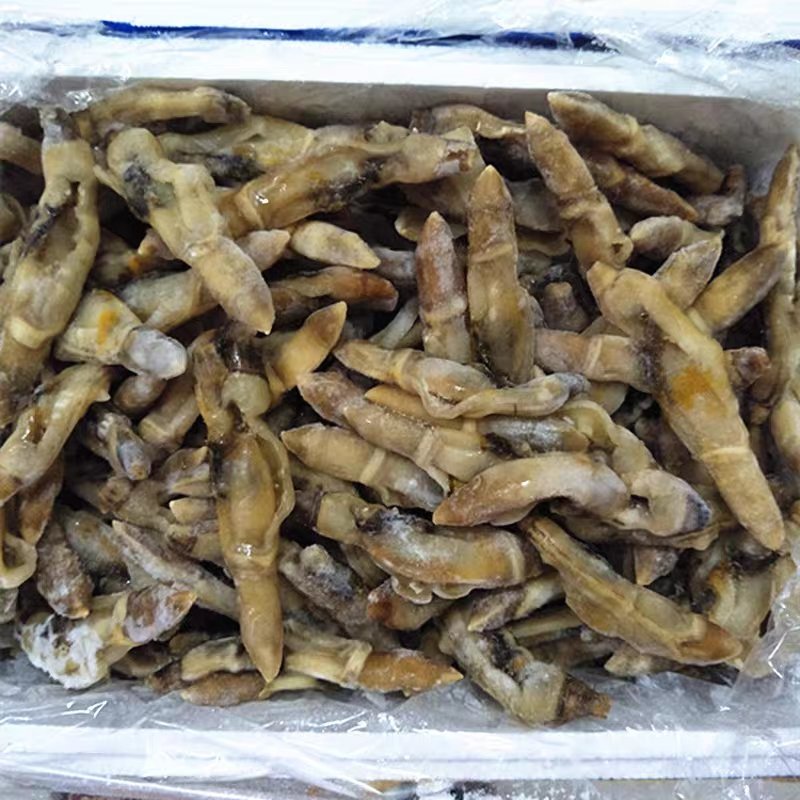 新鲜竹节蛏王肉冷冻蛏子肉现剥去沙大蛏肉海鲜零食水产火锅烧