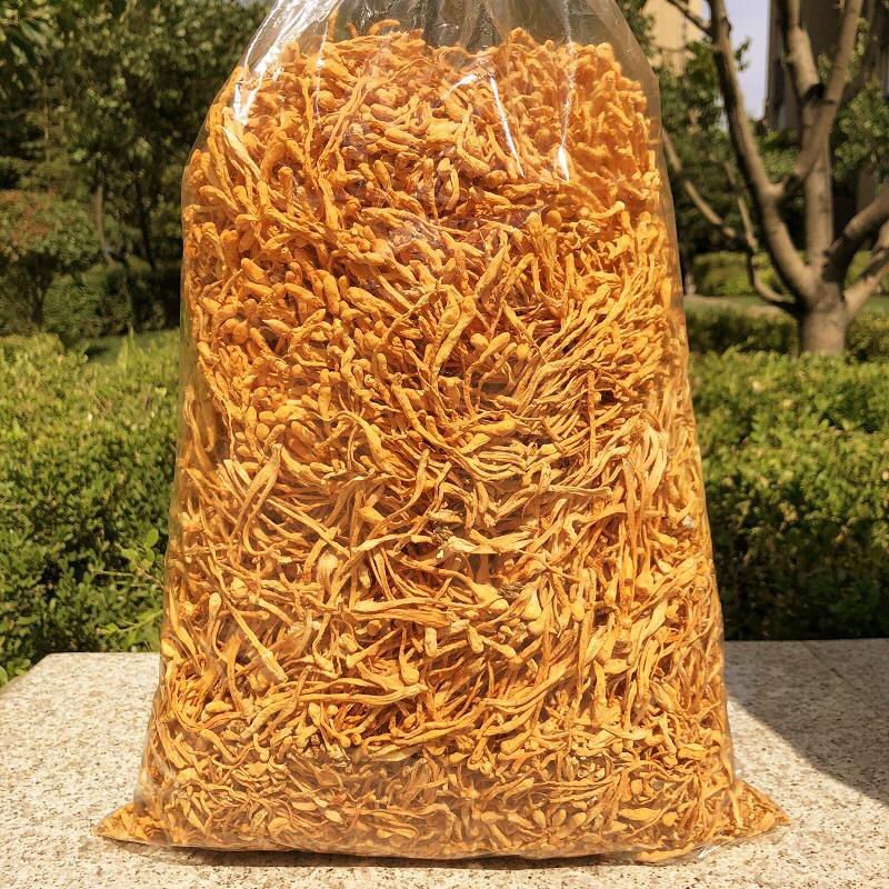 虫草花干货正品天然新鲜金蛹北虫草菇特级孢子头农户批发煲汤