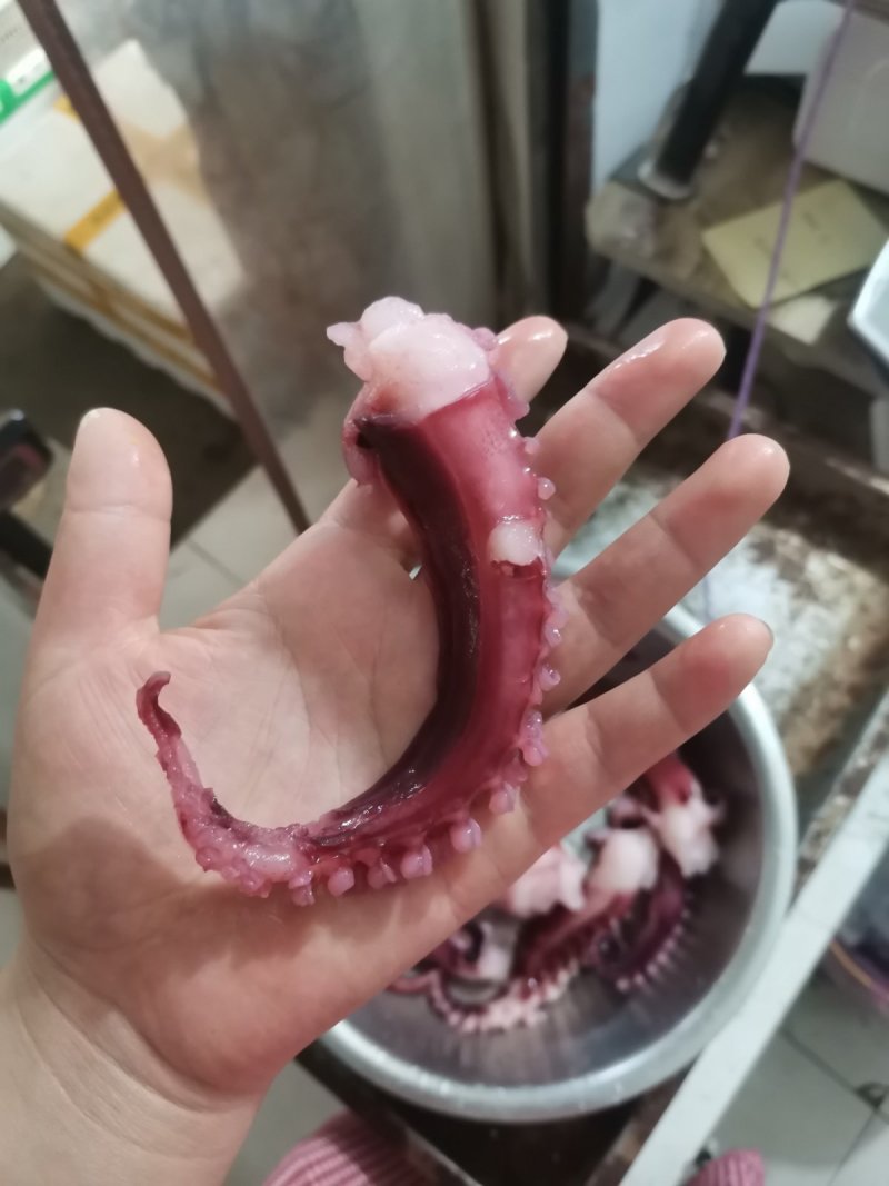 单冻脆口章鱼须10斤无冰无水须冷冻八爪鱼足腿苏浙沪皖包邮