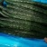 夏邑县万亩优质精品黄瓜开始大量上市瓜条顺直。