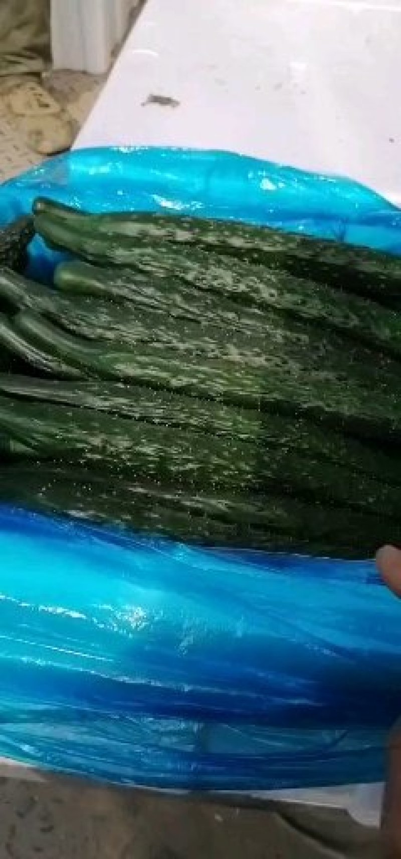 夏邑县万亩优质精品黄瓜开始大量上市瓜条顺直。