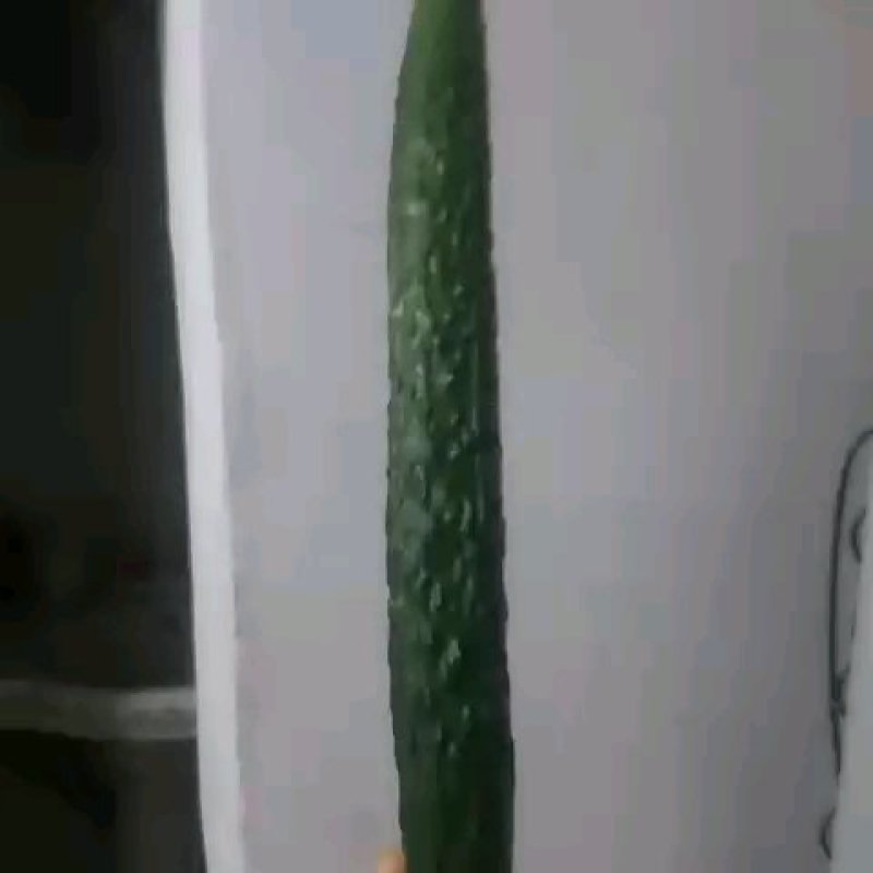 夏邑县万亩优质精品黄瓜开始大量上市瓜条顺直。