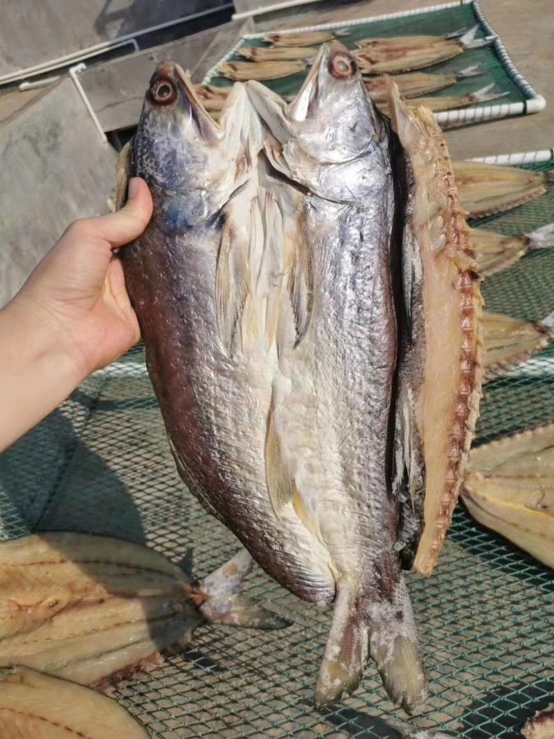 马友干