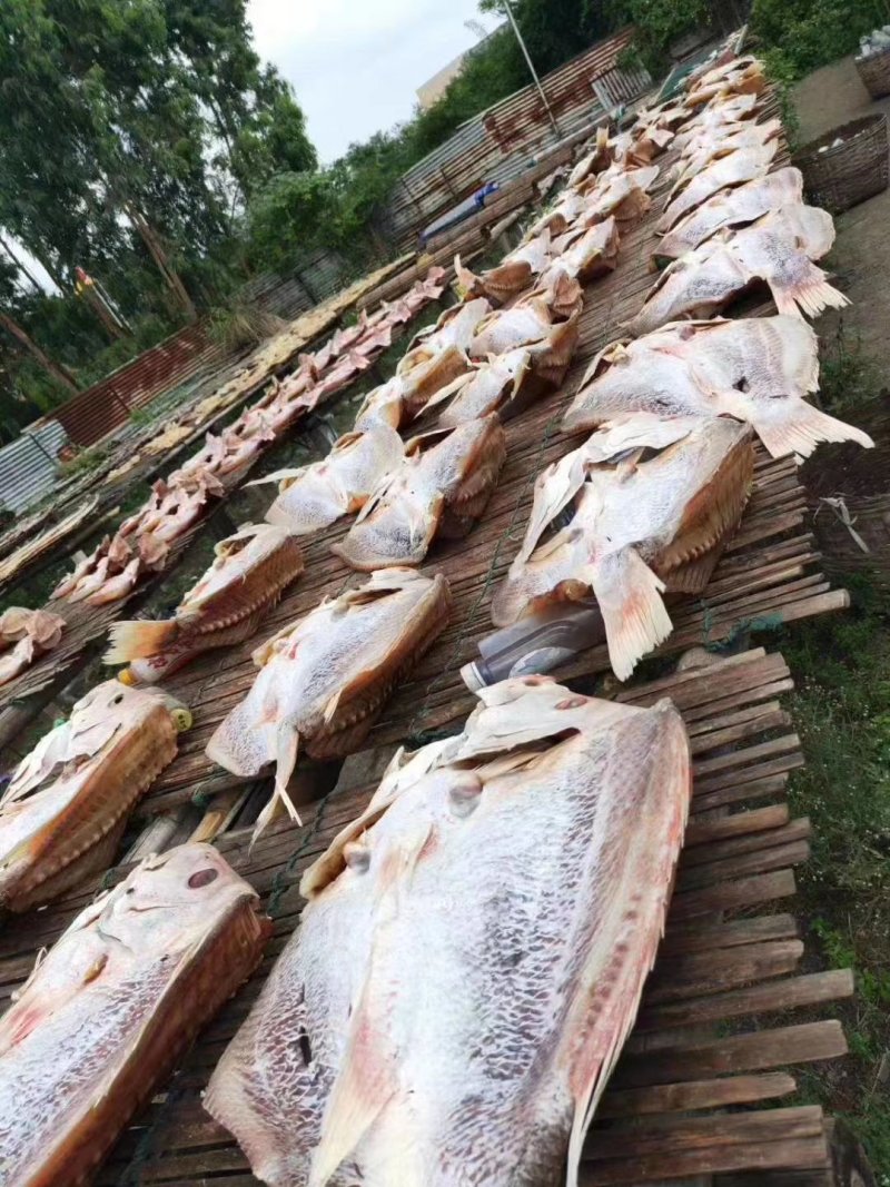 红鱼干