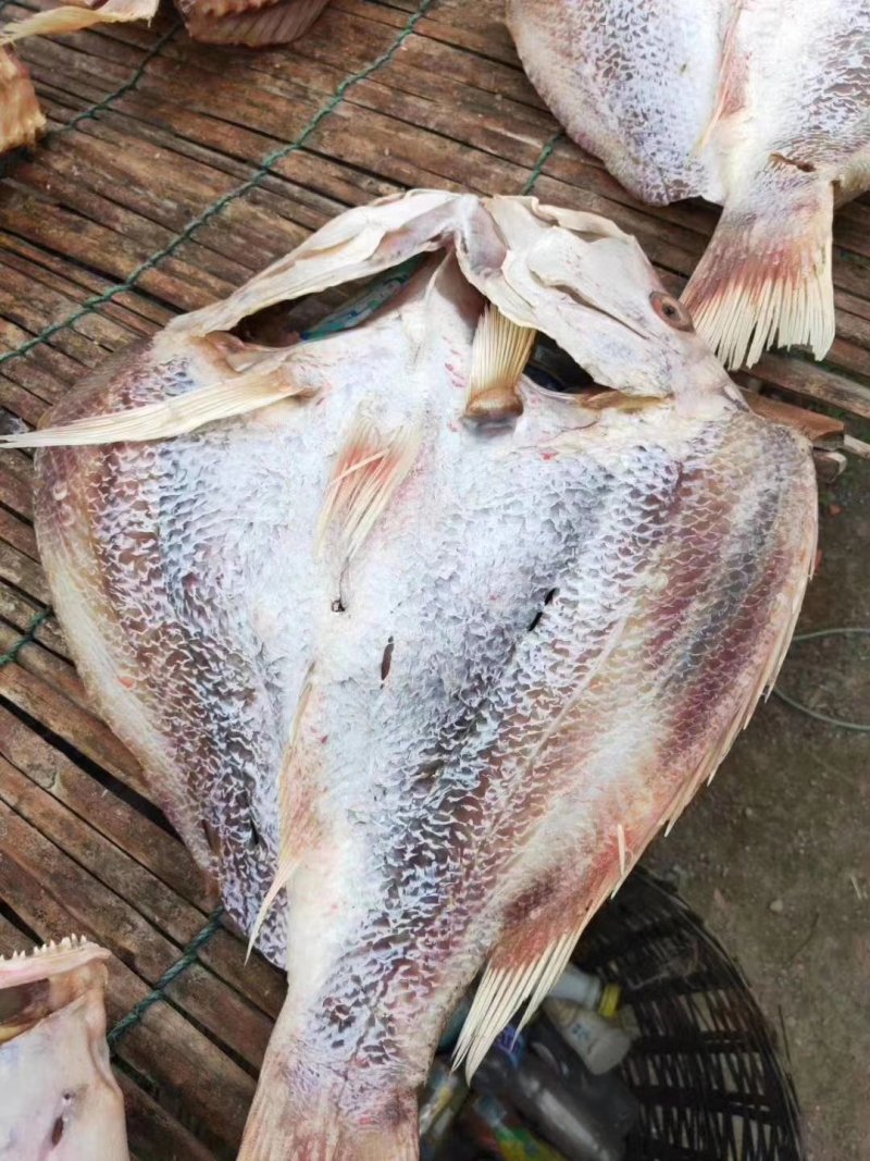 红鱼干