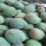 白带凯特果大量大无限量