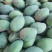 白带凯特果大量大无限量