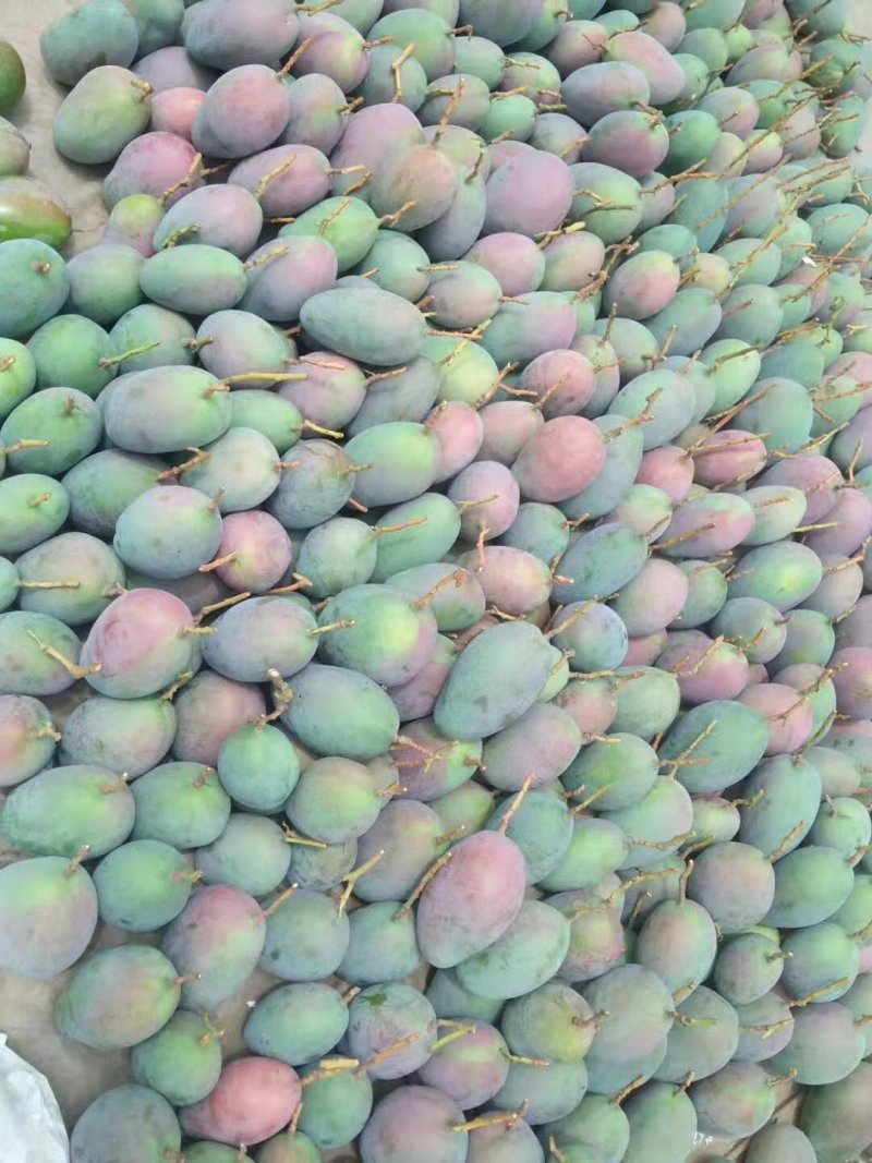 白带凯特果大量大无限量