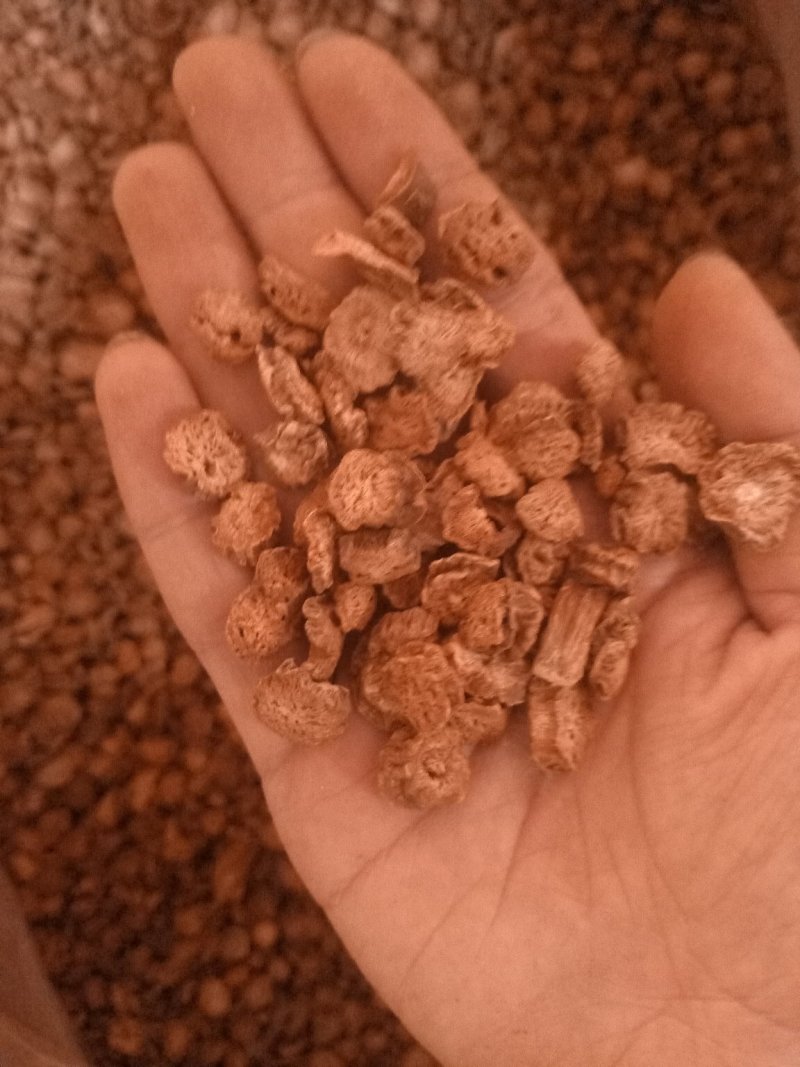 牛蒡农副产品清香口味无碎颗粒质量好