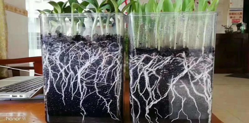 （热销）腐殖酸发酵鸡粪生物有机肥增强低肥动力增强活性