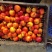 黄心油桃（（产地直供实力代收，货源充足，期待长期
