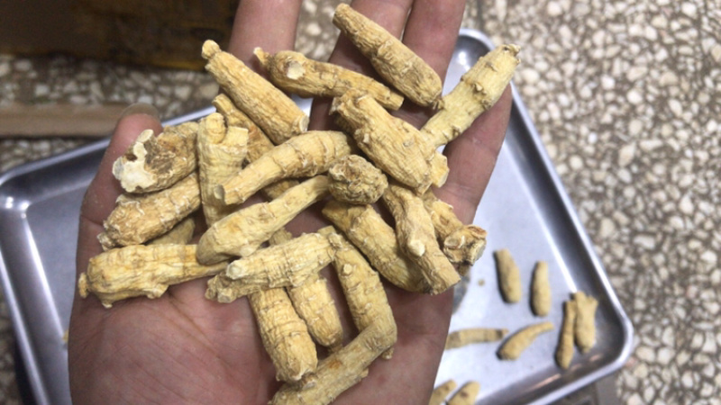 进口加拿大西洋参花旗参可切片磨粉250g
