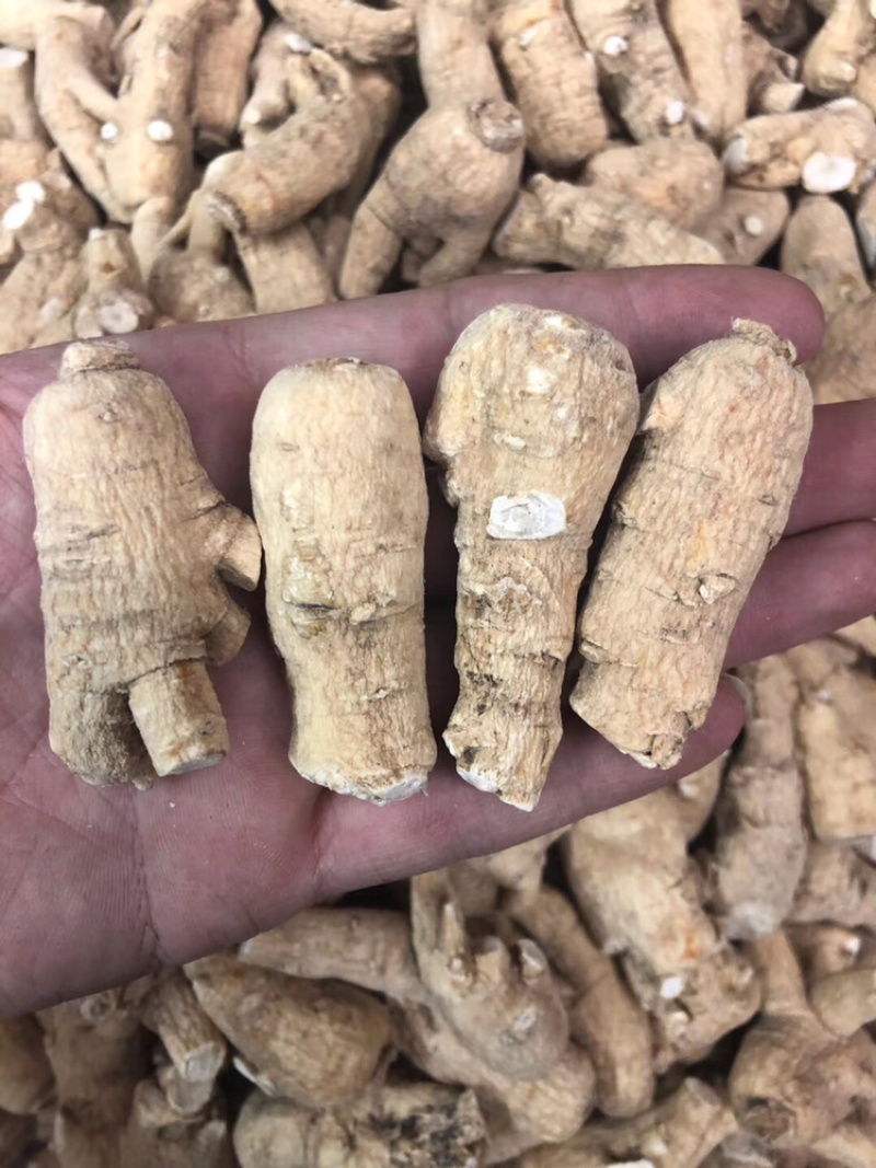 进口加拿大西洋参花旗参可切片磨粉250g