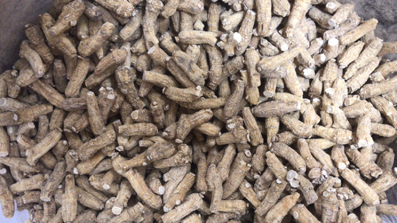 进口加拿大西洋参花旗参可切片磨粉250g