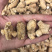 进口加拿大西洋参花旗参可切片磨粉250g