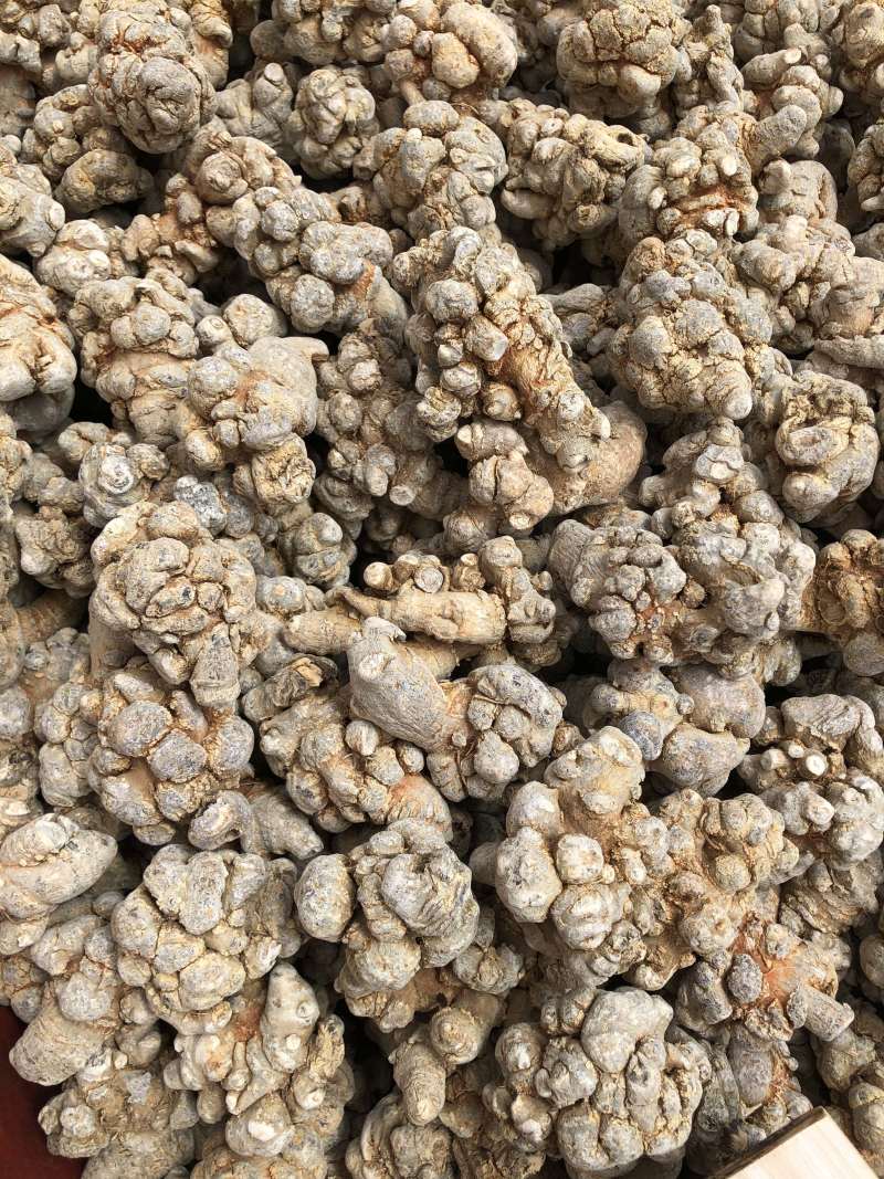 云南文山三七产地直销（精选）文山三七（田七）可磨粉