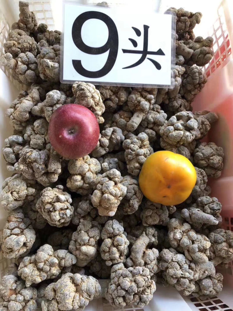 云南文山三七产地直销（精选）文山三七（田七）可磨粉