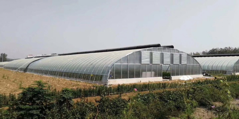 厂家直销专业生产养殖棚种植棚玻璃温室大棚