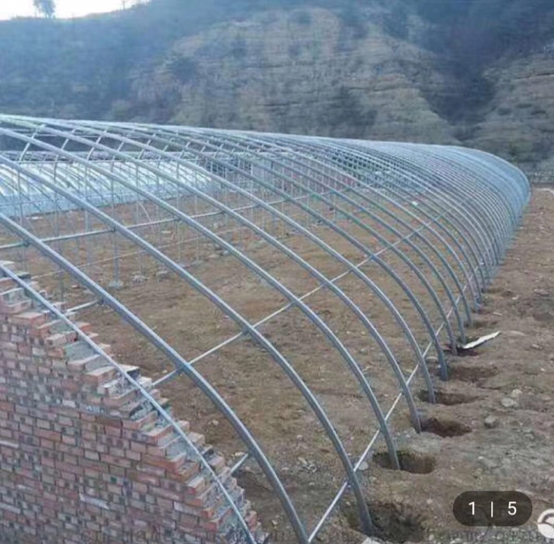 厂家直销专业生产养殖棚种植棚玻璃温室大棚