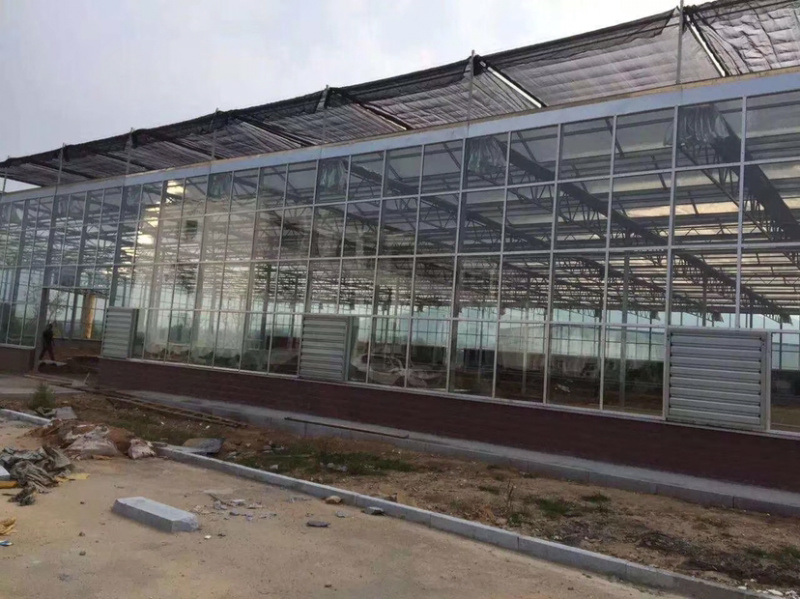 厂家直销专业生产养殖棚种植棚玻璃温室大棚