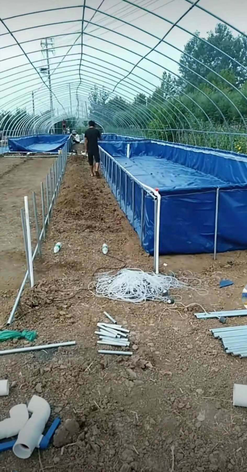 厂家直销专业生产养殖棚种植棚玻璃温室大棚