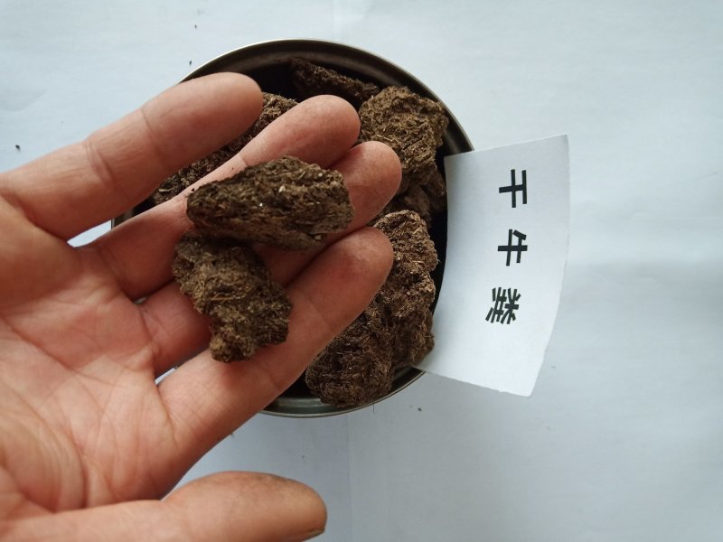 陕西牛粪厂家出售榆林干牛粪宝鸡发酵牛粪有机肥