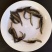 黑鱼苗乌鱼苗水花苗放生鱼苗