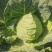 莴笋包菜