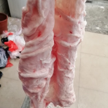 猪板油（广西南宁）