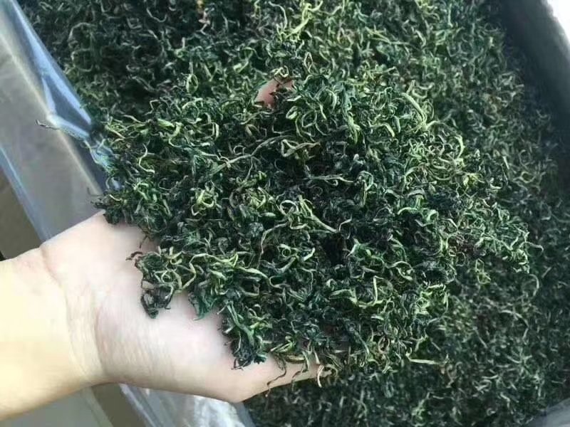 蒲公英茶长白山特产新货蒲公英婆婆丁茶叶产地直销